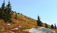 Fall Colors on Granite Mountain
