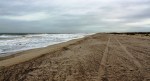Fort Fisher State&nbsp;Park
