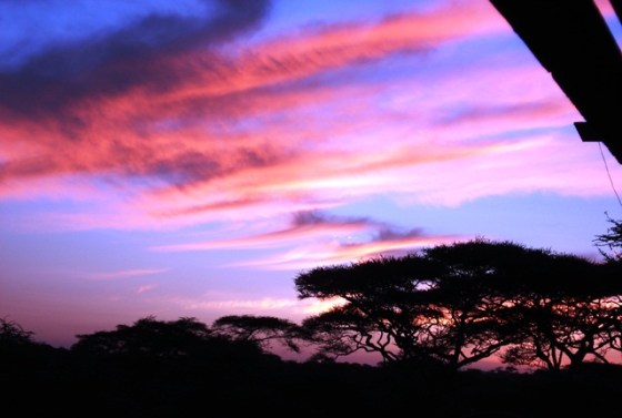 Serengeti sunset