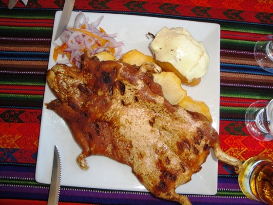 Guinea Pig for dinner