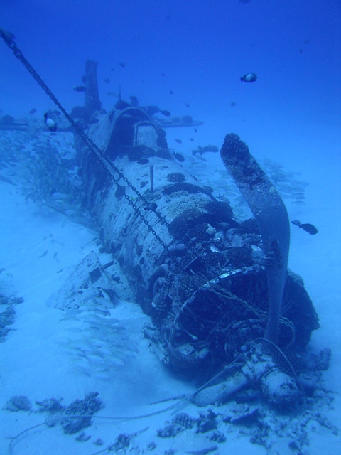 Front view of the Corsair Wreck