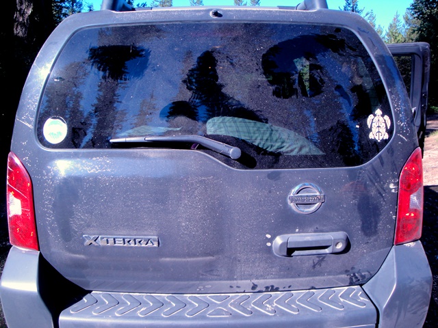 Bear markings on the dusty Xterra- WA